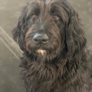 Meet your Posher, Melanie